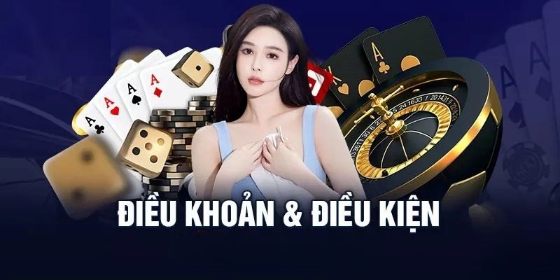 Đôi lời về điều khoản của hệ thống VN88