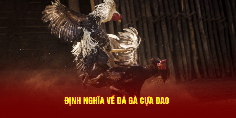 Định nghĩa về đá gà cựa dao 