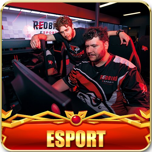 fav esport